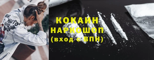 шишки Верея