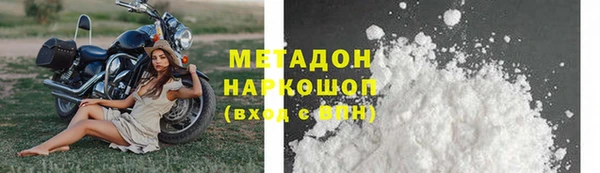 шишки Верея