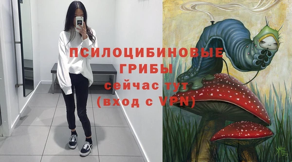 шишки Верея