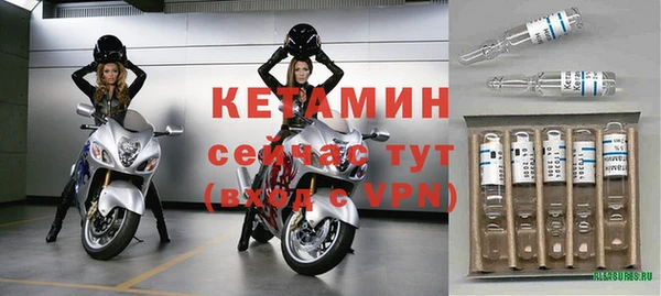 шишки Верея