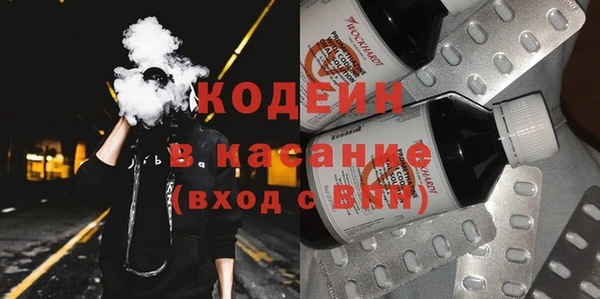 хмурый Бородино