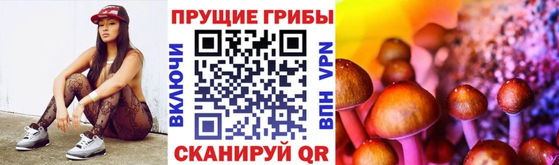 Псилоцибиновые грибы MAGIC MUSHROOMS Купить где Ессентуки